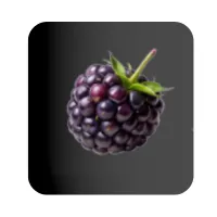 Blackberry